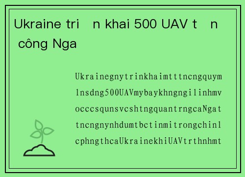 Ukraine triển khai 500 UAV tấn công Nga
